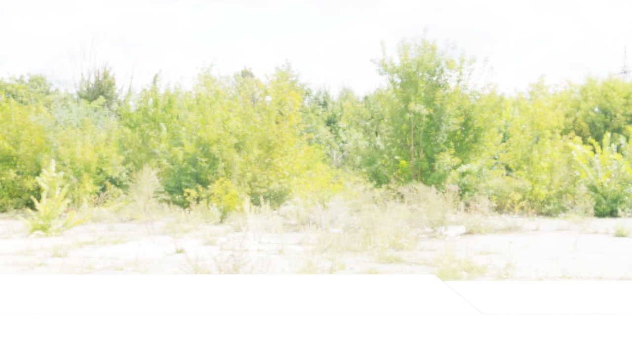 다중 로봇 협업